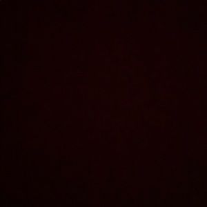 Meet your Posher, Giannina